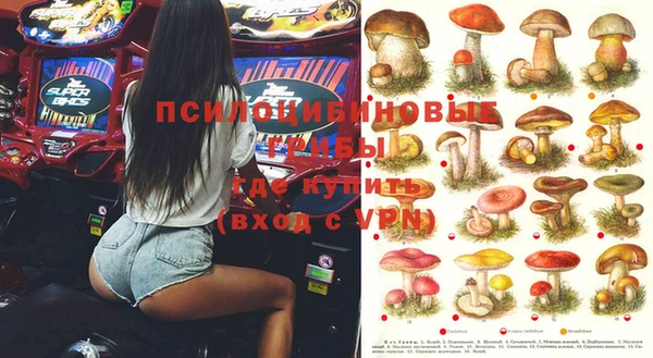 тгк Арсеньев