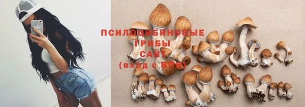 спайс Аркадак