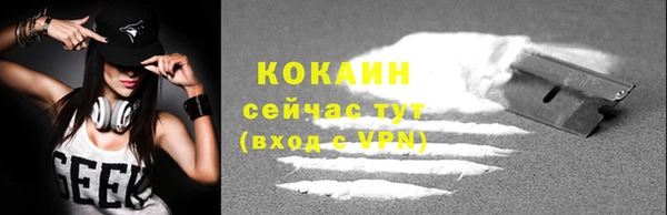 тгк Арсеньев