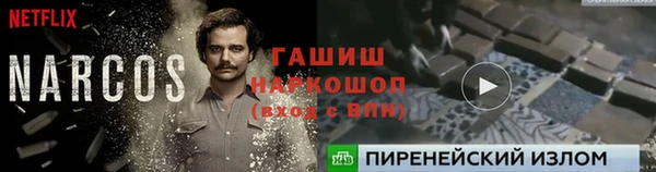 тгк Арсеньев