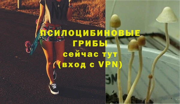 тгк Арсеньев