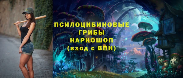 хмурый Армянск