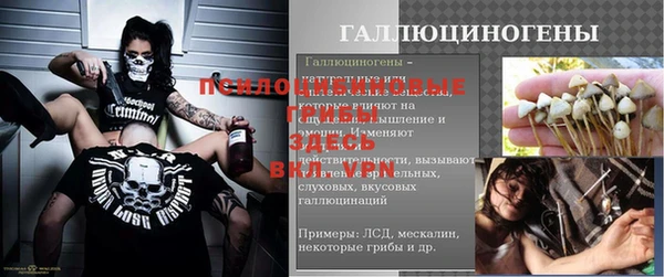 прущие крисы Алексеевка