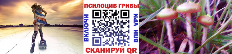 как найти закладки  Далматово  Галлюциногенные грибы Psilocybine cubensis 